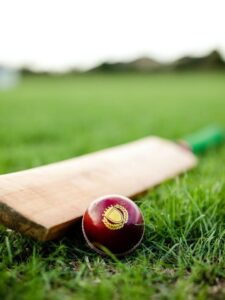 Download premium image of Cricket bat and ball on green grass by Felix about cricket, cricket ground, cricket match, cricket player ball, and cricket balls 529011